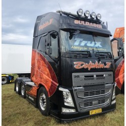 Tekno 84992 Guldager "Dolphin 2"