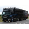 WSI 01-4640 FH Trans