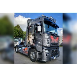 WSI 01-4523 TCE