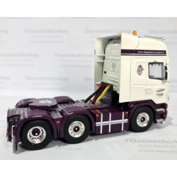 WSI 02-2828 Vliegenthart