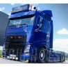 WSI 01-4717 Lippens