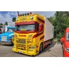 WSI 01-4776 A.Dubrux