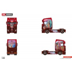 WSI 01-4714 Transports Beau "Brasilian Dream"