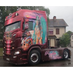 WSI 01-4714 Transports Beau "Brasilian Dream"