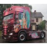 WSI 01-4714 Transports Beau "Brasilian Dream"