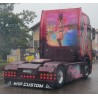 WSI 01-4714 Transports Beau "Brasilian Dream"