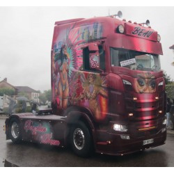 WSI 01-4714 Transports Beau "Brasilian Dream"