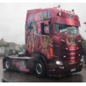 WSI 01-4714 Transports Beau "Brasilian Dream"