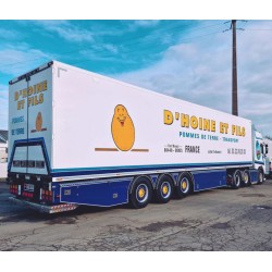 WSI 01-4843 D`Hoine