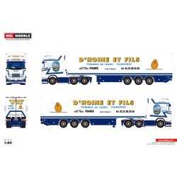 WSI 01-4843 D`Hoine