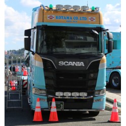 WSI 01-4893 Koyama Ltd