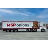 WSI 01-4504 MSP Onions