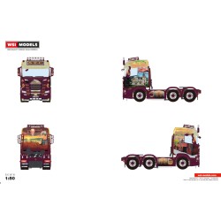 WSI 01-4441 S.T.C.