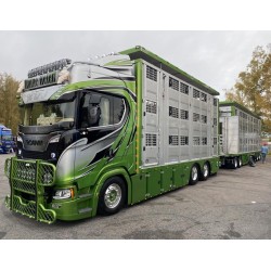 Tekno 85935 Roine Helen