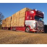 Tekno 88834 Pierrard Transport