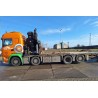 WSI 01-4957 Holtrop van der Vlist