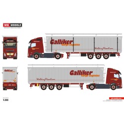 WSI 01-4832 Galliker