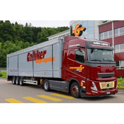 WSI 01-4832 Galliker