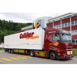 WSI 01-4831 Galliker