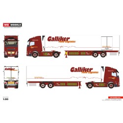 WSI 01-4831 Galliker
