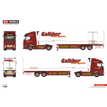 WSI 01-4831 Galliker