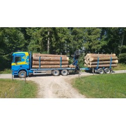 Tekno 89219 Martin Witwer