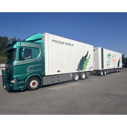 Tekno 84985 Palms