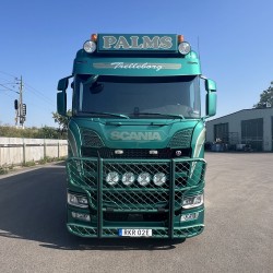 Tekno 84985 Palms