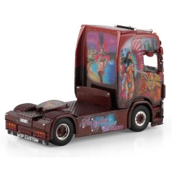 WSI 01-4714 Transports Beau "Brasilian Dream"