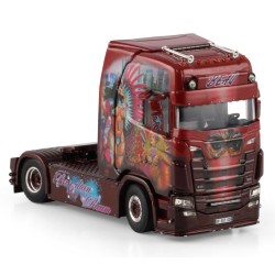 WSI 01-4714 Transports Beau "Brasilian Dream"