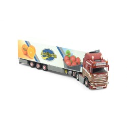 Tekno 87474 Ronny Ceusters