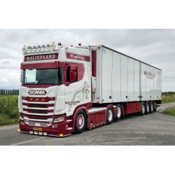 WSI 01-5251 Maliepaard Transport
