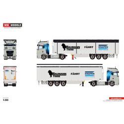 WSI 01-5139 Baumann Trans