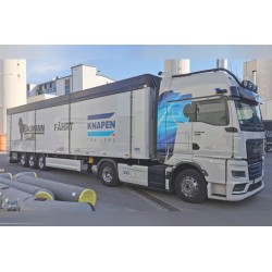 WSI 01-5139 Baumann Trans