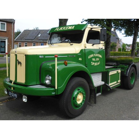 WSI 01-5247 Flikkema