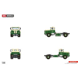 WSI 01-5247 Flikkema