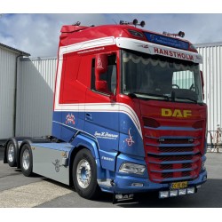 WSI 01-5104 Jens H. Petersen