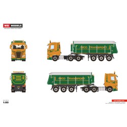 WSI 01-4953 Nico Transport