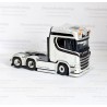 WSI 02-2971  Maas Transport Exclusive Model!!