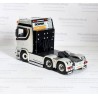 WSI 02-2971  Maas Transport Exclusive Model!!